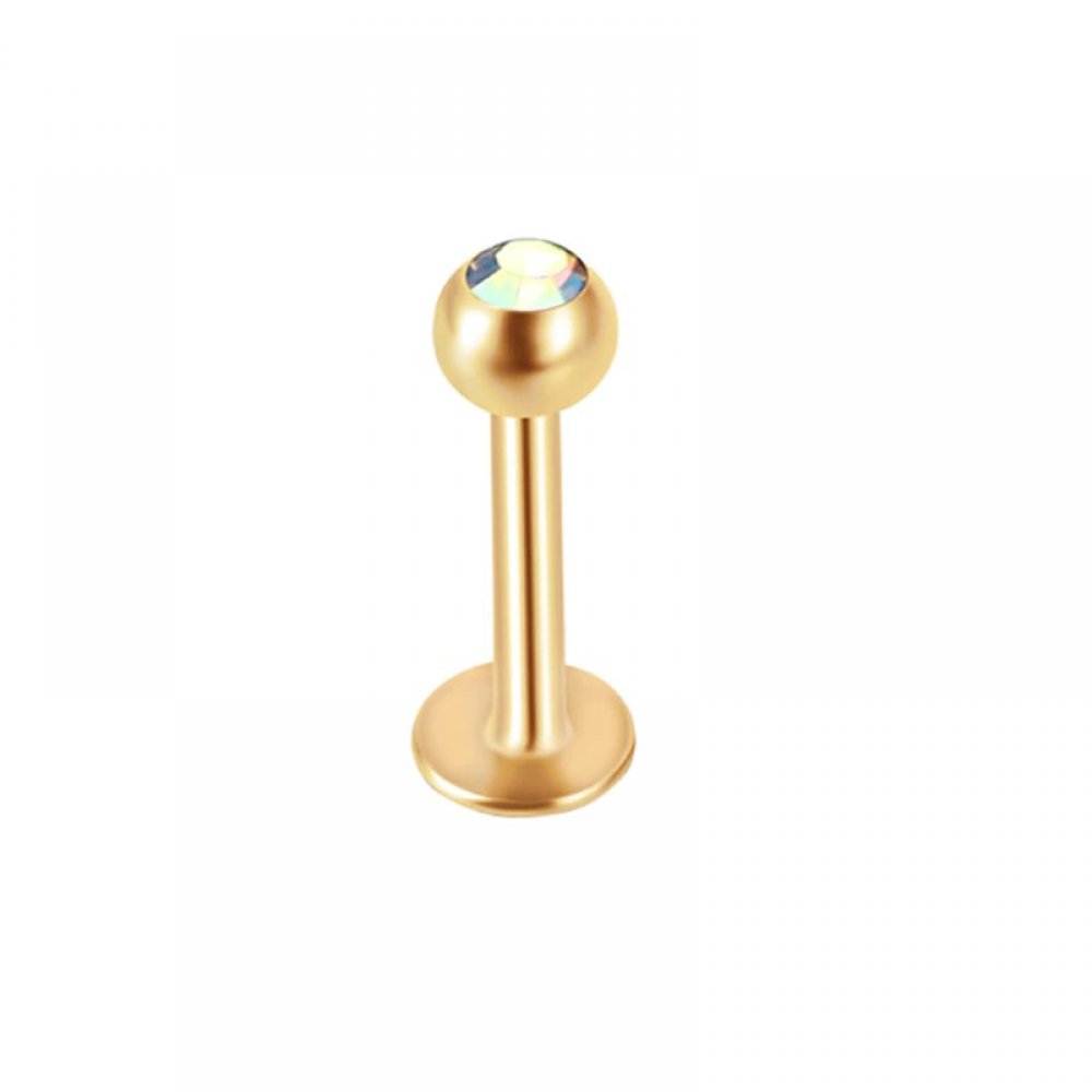 Стоманена златна обица за цял живот 1 Стоманена златна обица за цял живот