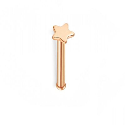 Звезда в небето мини обица