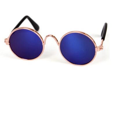 Модерни кучета и котки