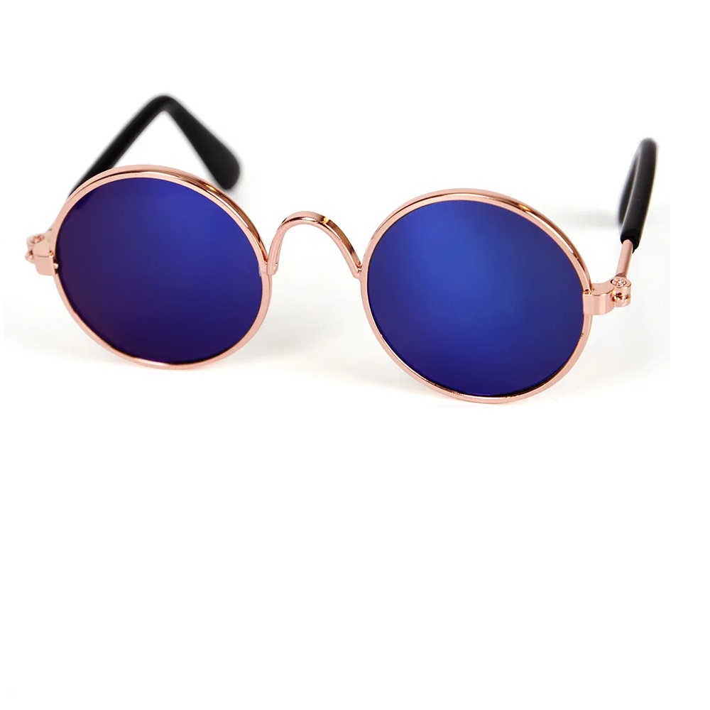 Модерни кучета и котки 1 Модерни кучета и котки