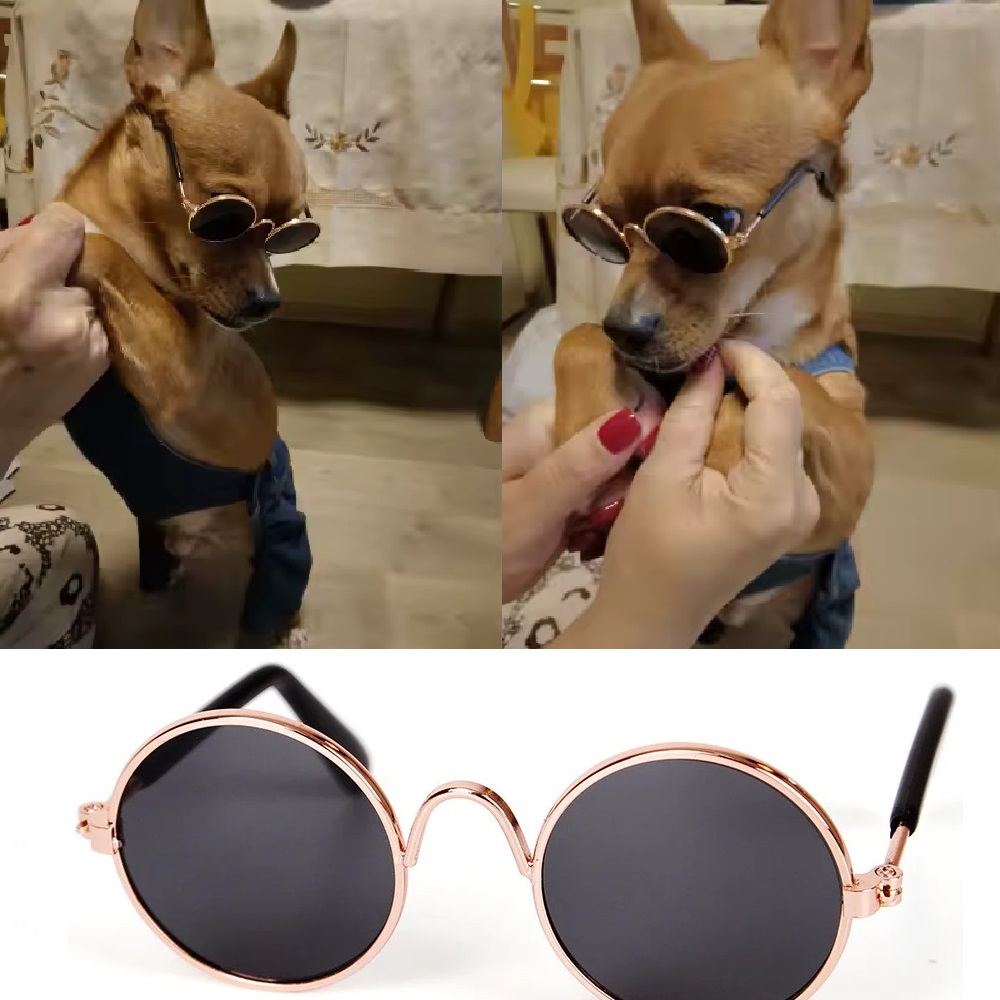 Очила за котета 6 Очила за котета - Image 6